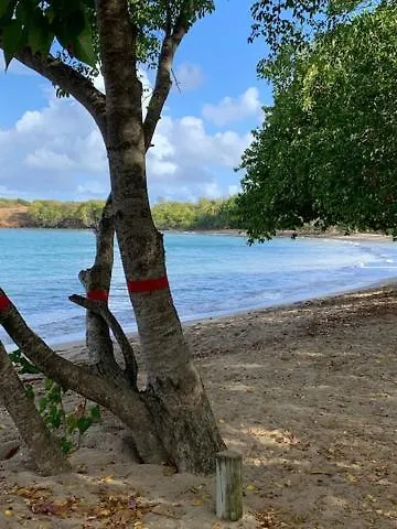 Appartement Charmant studio dans un petit coin de paradis Trinité  Martinique